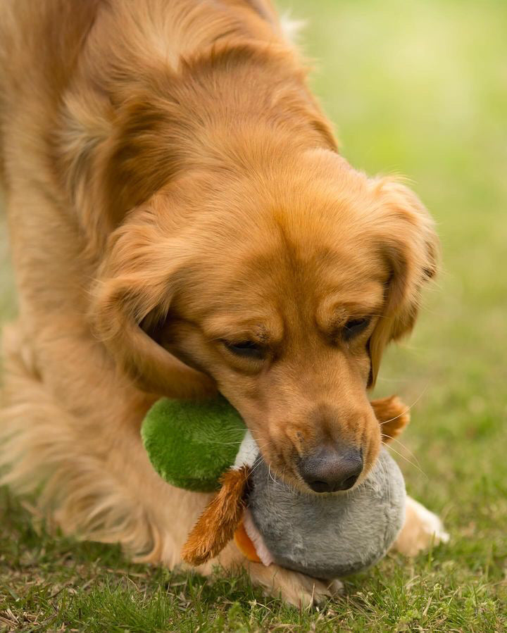 Fuzzballz Woblerz Duck