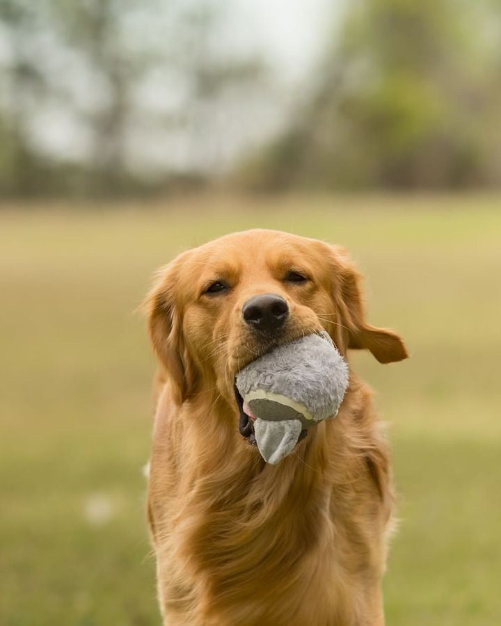 Fuzzballz Elephant