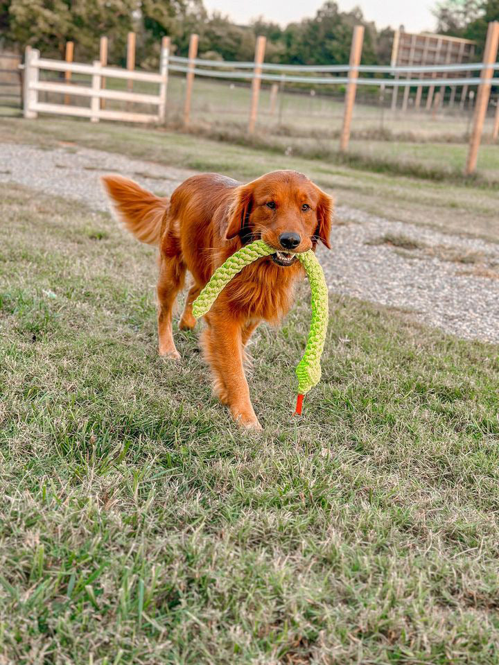 Lots O' Knots Jumbo Green Snake