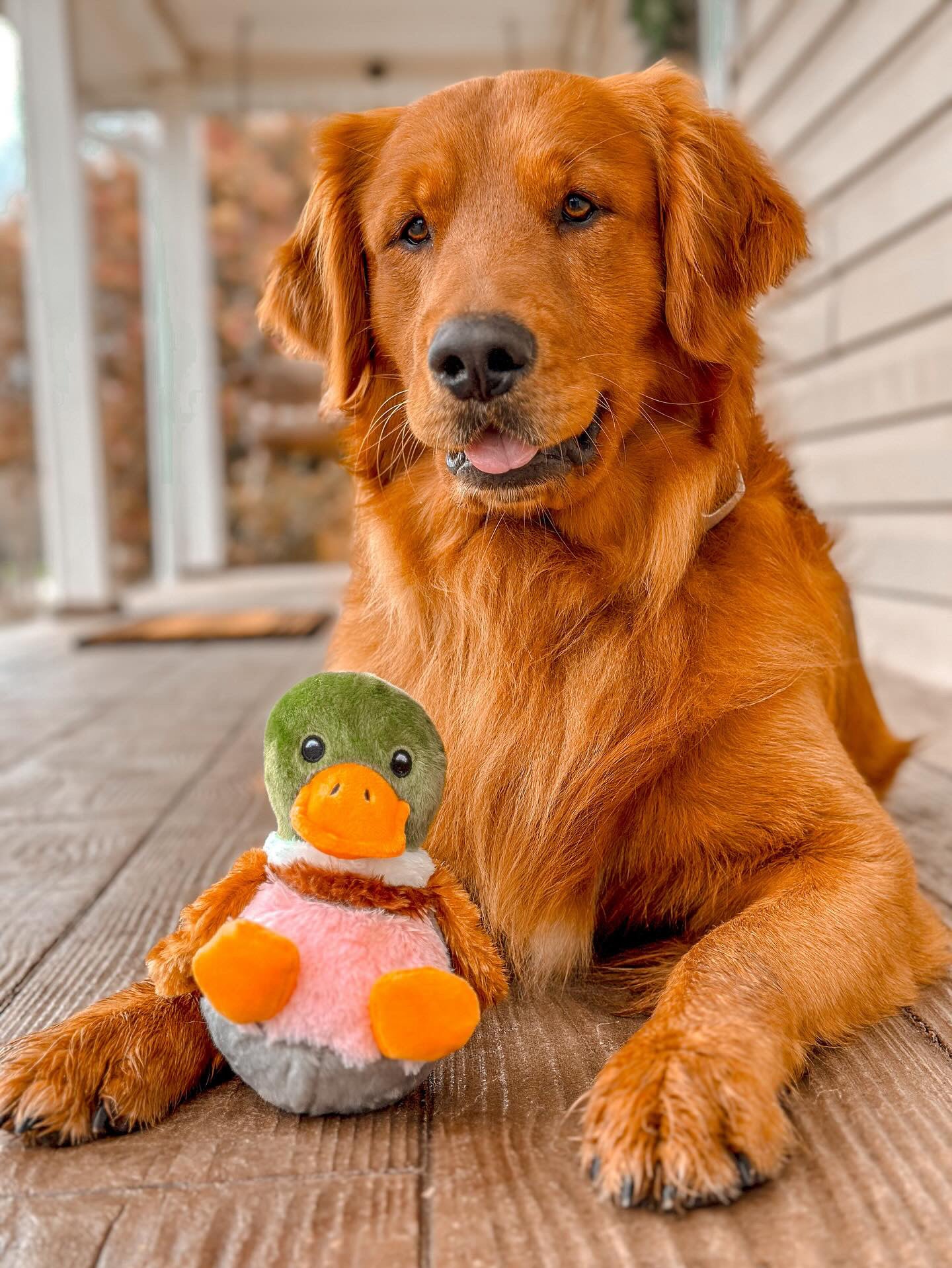 Fuzzballz Woblerz Duck