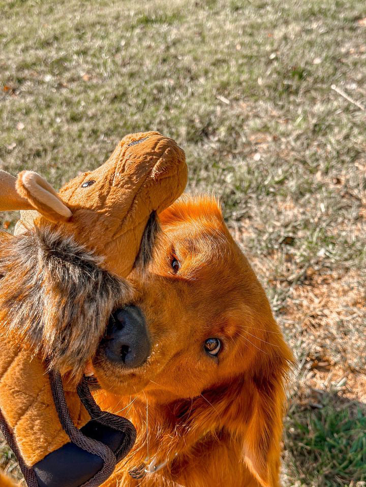 Ruff & Whiskerz Mammalz Moose