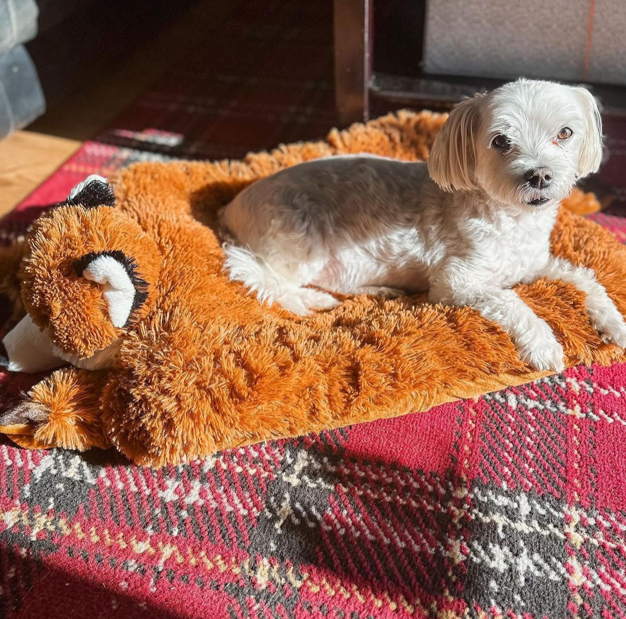 Furskinz Fox