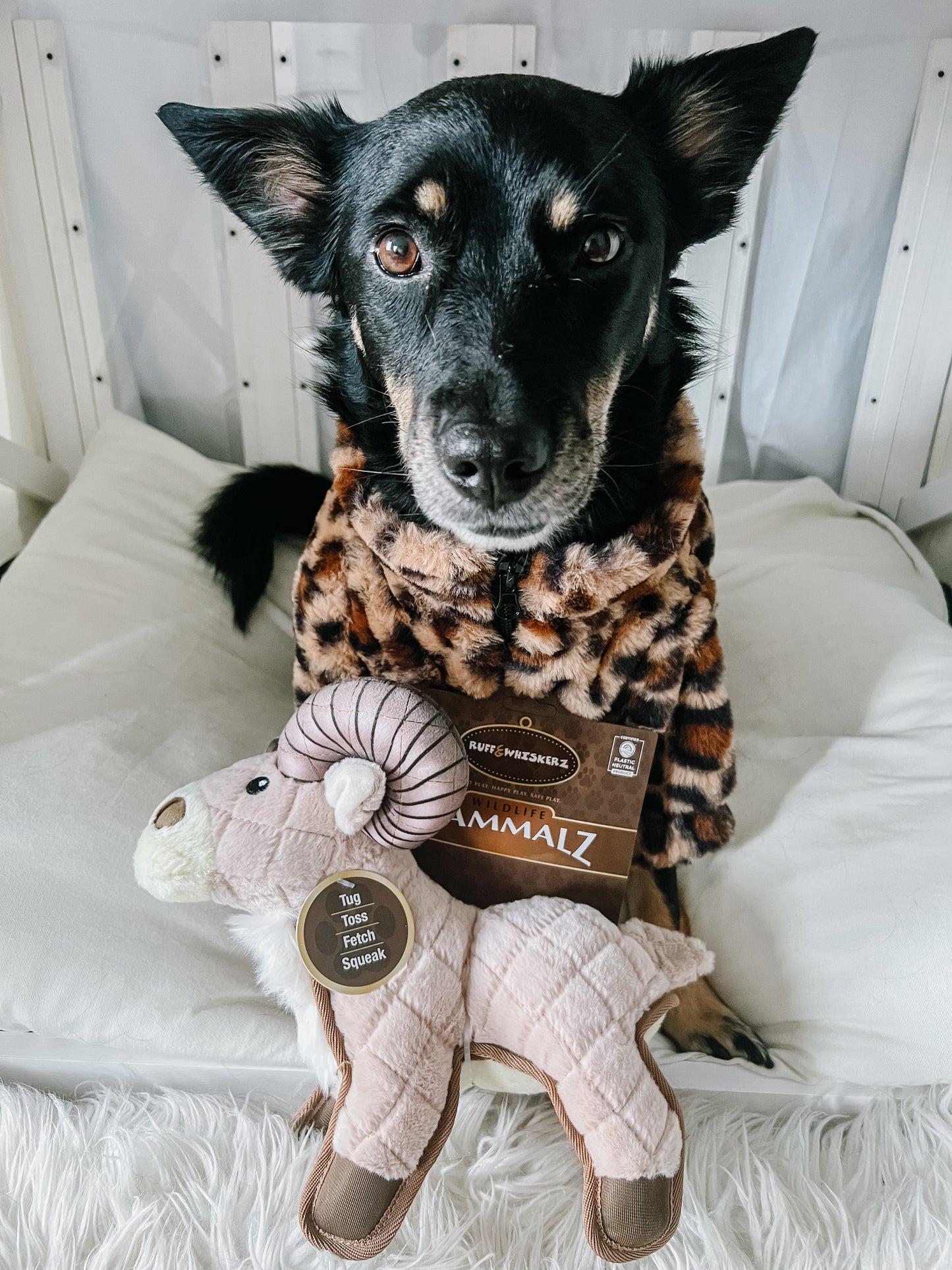 Ruff & Whiskerz Mammalz Ram
