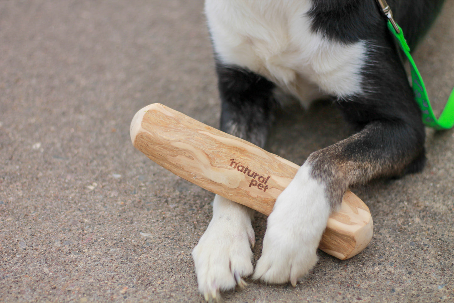 Natural Pet Large Coffee Wood