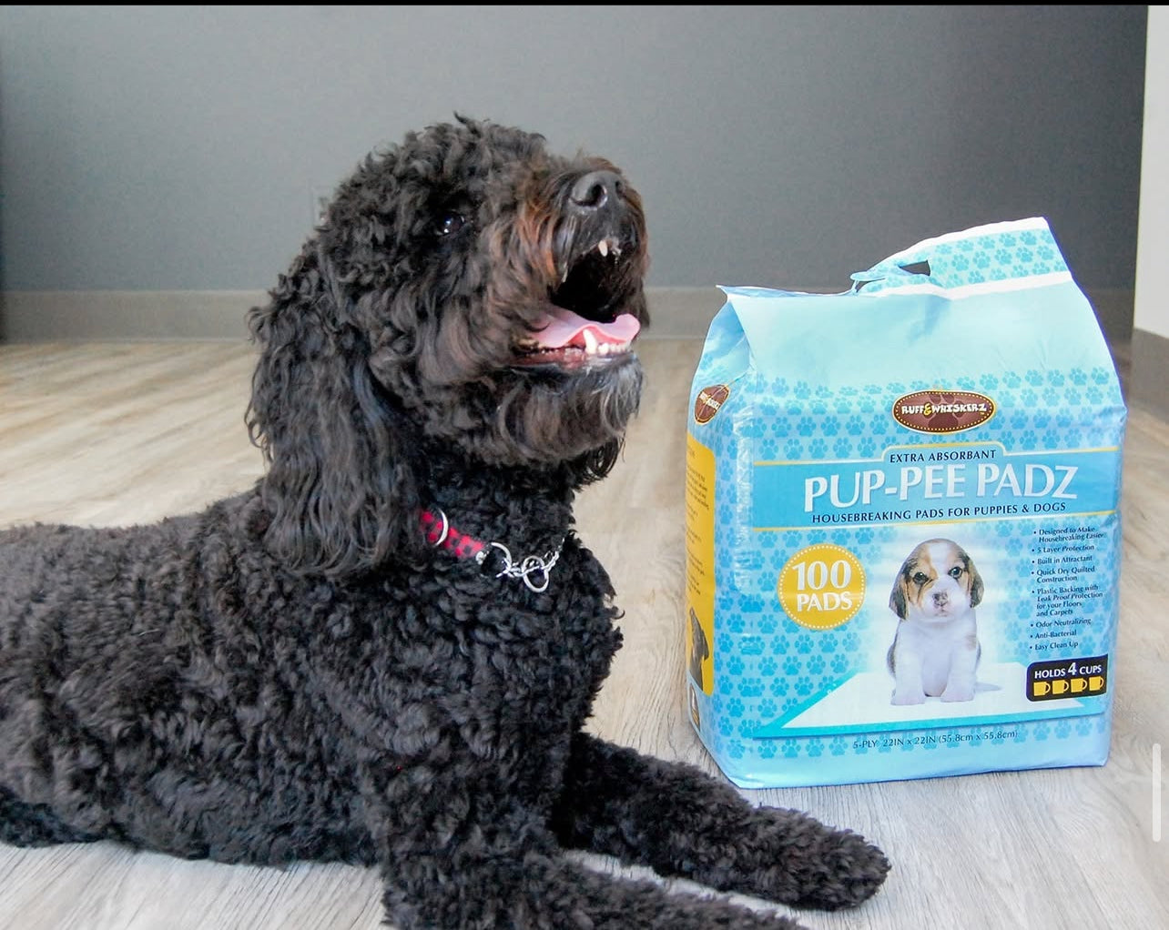 Ruff & Whiskerz 100 Count Pup-Pee Pads