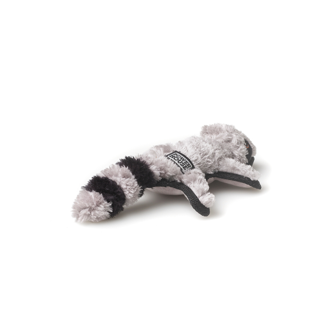Power House Mini Raccoon