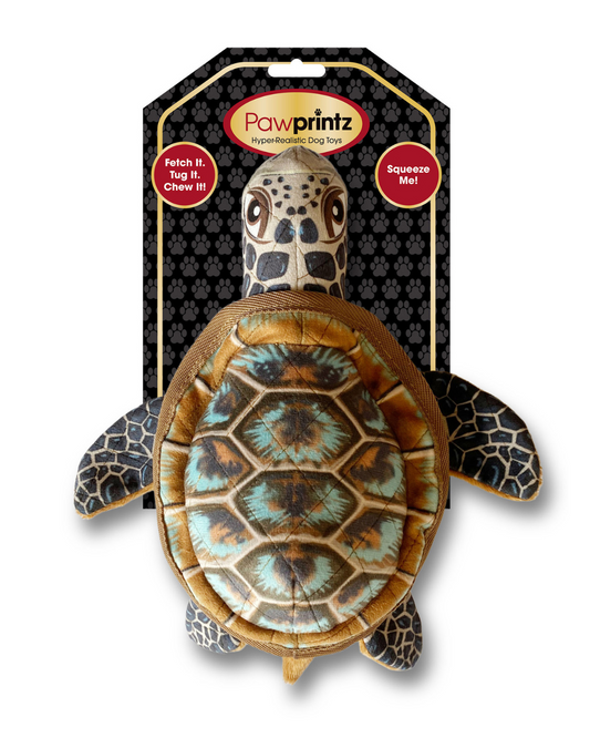 Pawprintz Sea Turtle