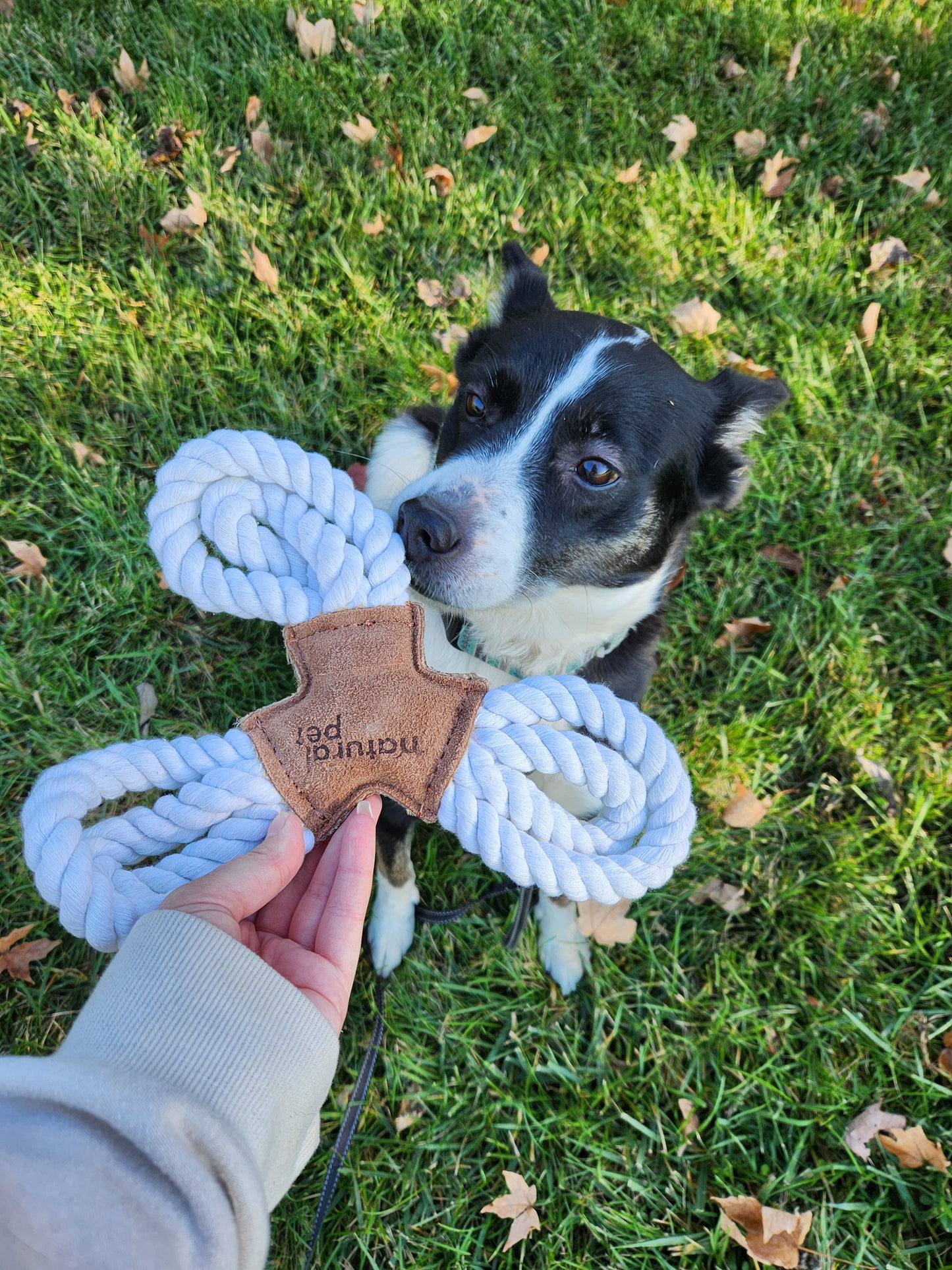 Natural Pet Leather Tri Flyer