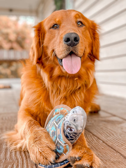Pawprintz Sea Turtle