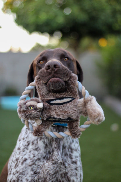 Ruff & Whiskerz Flyerz