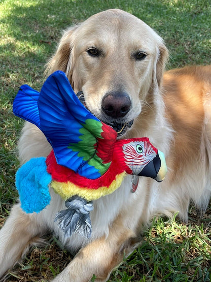 Pawprintz Parrot