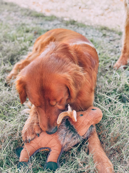 Ruff & Whiskerz Mammalz Moose