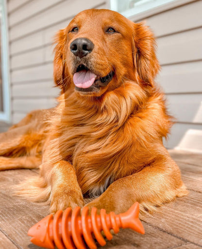 Boneboos Salmon