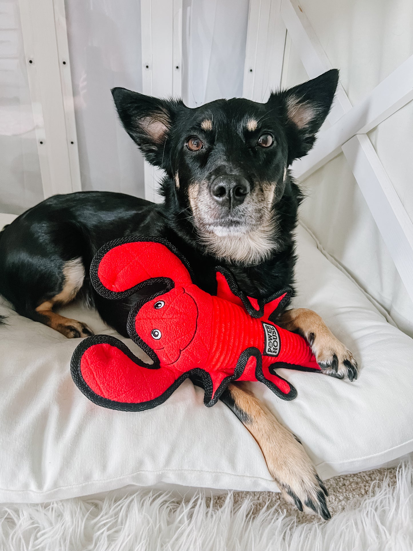 Power House Lobster