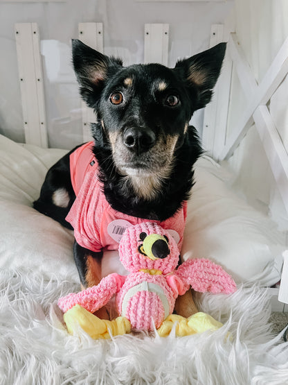 Fuzzballz Bungee Ballz Flamingo