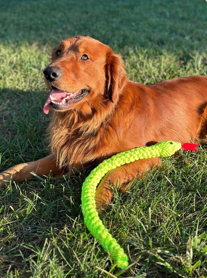 Lots O' Knots Jumbo Green Snake