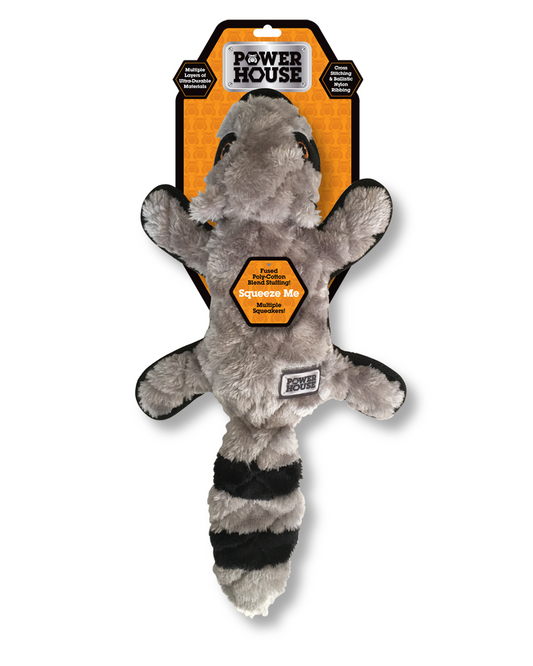 Power House Large Raccoon